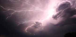 Co to znaczy spodnie typu flare?