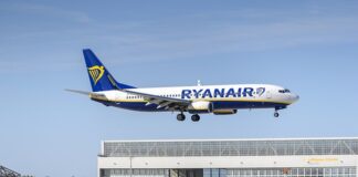 Czy w Ryanair można przewozić psy?
