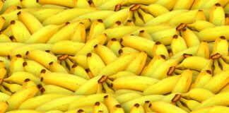 Czy Banana można jeść codziennie?